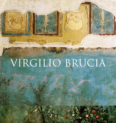 Intervista in progress. Verso “Virgilio brucia”